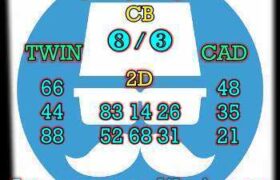 prediksi china 29 juni 2025